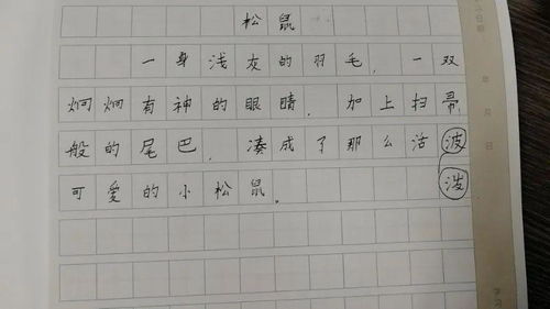 關(guān)于上課的作文開(kāi)頭