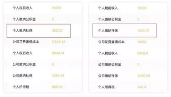 關(guān)于社保的這些信息不能錯過(吃什么對頭發(fā)好 這些食物不能錯過)