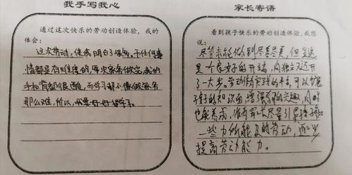 你勞動的樣子真美作文優(yōu)美開頭