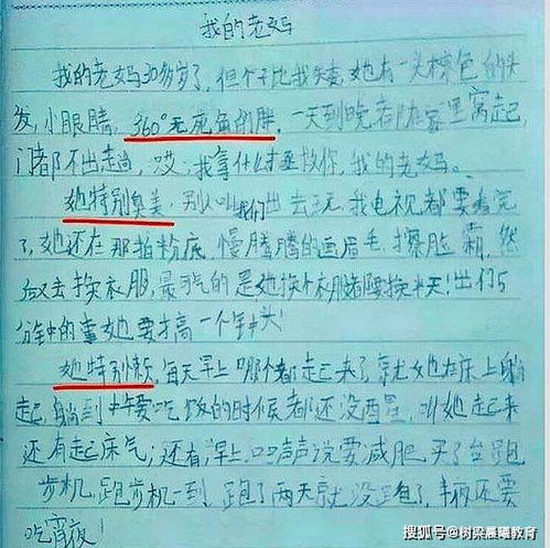 運用比喻開頭的作文80字