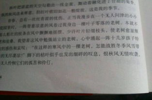 作文描寫天氣開(kāi)頭