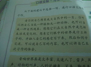 生日作文有成長性的開頭