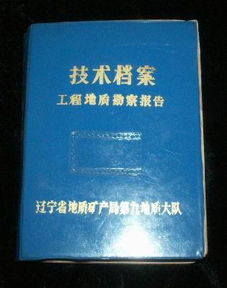 工程地質(zhì)勘察報告論文(工程地質(zhì)勘察報告的論文)