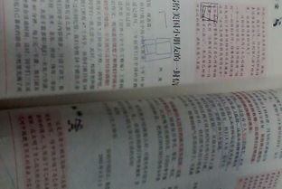 200字作文好開頭