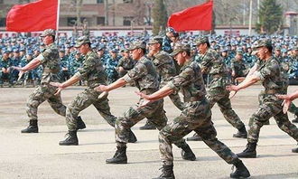 部隊(duì)士兵個(gè)人總結(jié)(部隊(duì)士官半年總結(jié))