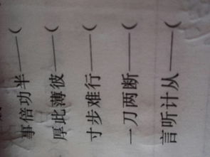 反反覆覆的成語解釋(羊的成語及解釋)