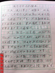 我懂的了勤奮450字作文開頭