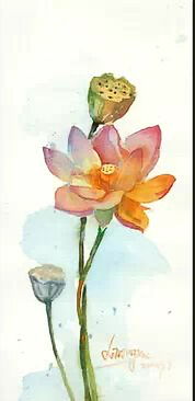 關(guān)于花卉的作文(關(guān)于花卉的作文)