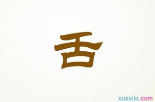 風的聲音作文開頭和結(jié)尾
