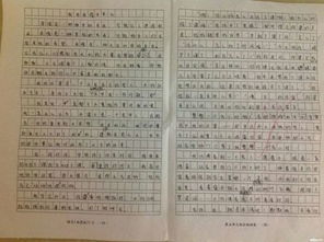 那天我與親情相遇作文600字作文開(kāi)頭