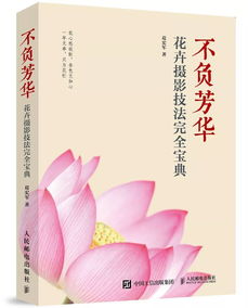 不負芳華作文開頭