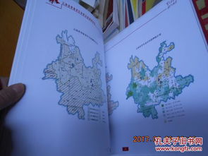 鎮(zhèn)深度貧困問題的調(diào)研報告(城鎮(zhèn)民生問題的調(diào)研報告)