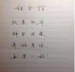 中層領(lǐng)導(dǎo)辭職報(bào)告(保險(xiǎn)中層領(lǐng)導(dǎo)辭職報(bào)告)