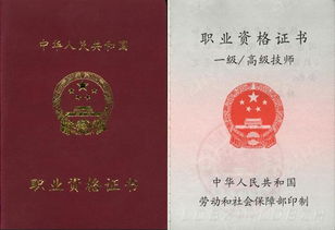 職業(yè)資格鑒定(職業(yè)資格鑒定)