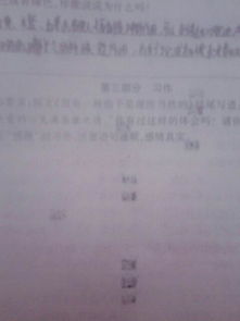 我最感激的人寫一篇作文的開頭