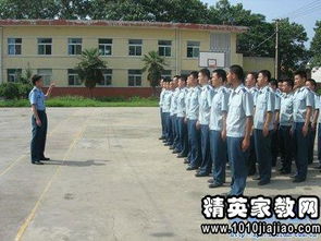 部隊(duì)學(xué)員實(shí)習(xí)報(bào)告(部隊(duì)學(xué)員實(shí)習(xí)鑒定評(píng)語(yǔ))