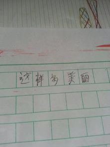 作文600字初中開頭