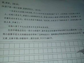 我學(xué)會了________作文開頭,我學(xué)會了騎自行車作文開頭,我學(xué)會了包餃子作文開頭