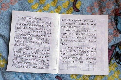 關(guān)于春節(jié)的作文的開頭怎么寫