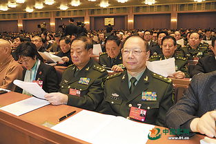 政協(xié)委員個(gè)人履職報(bào)告(政協(xié)委員個(gè)人履職總結(jié))