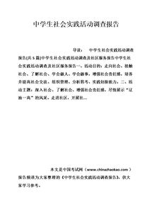 高中學生社會實踐報告范文(高中學生個人社會實踐報告范文)