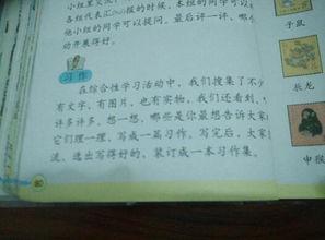 以詩(shī)開(kāi)頭的作文格式