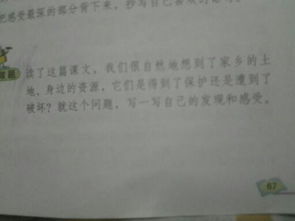 家鄉(xiāng)資源破壞發(fā)現(xiàn)與感受的作文開頭