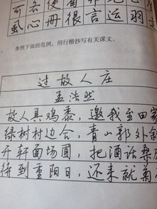 書法作文開頭結(jié)尾450字