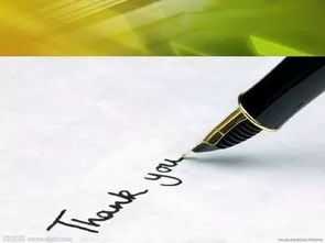 作文我的世界有你而精彩600字作文開頭