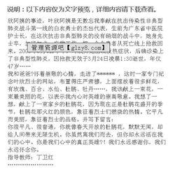 我心中的英雄作文開頭高中