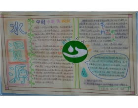 與保護森林的作文開頭