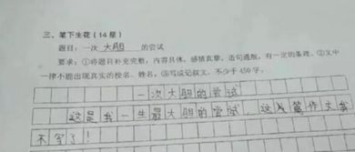 一次大膽的嘗試的作文的開頭