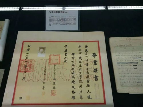 關于校史的作文開頭