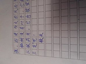 唯美的秋作文開頭結(jié)尾