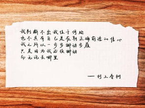 生活中的幾個(gè)鏡頭作文開(kāi)頭