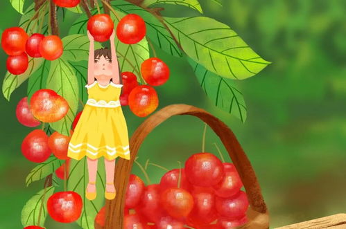 關于想象作文的開頭和結尾