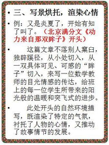 中學(xué)滿(mǎn)分開(kāi)頭感動(dòng)的作文