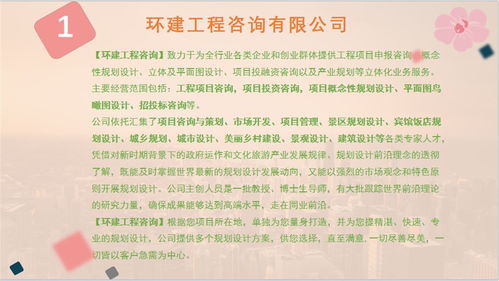 民非可行性報(bào)告(德國非移民簽證的分析)