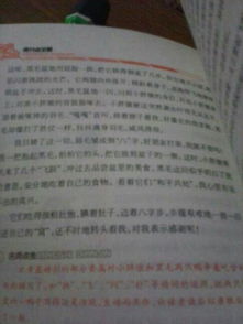 寫(xiě)一篇關(guān)于人與動(dòng)物的作文開(kāi)頭