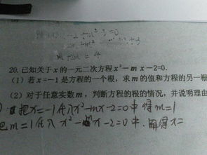 那一刻我陶醉了作文開(kāi)頭