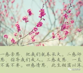 滴水之恩當(dāng)涌泉相報(bào)的作文開(kāi)頭