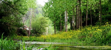 字寫景作文春天開頭