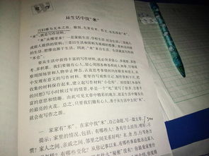 初一我們家作文600字作文開頭