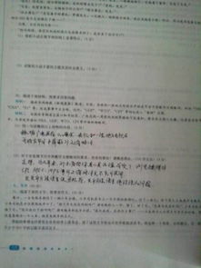 怎么寫(xiě)好啟示作文的開(kāi)頭