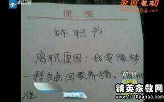 工程造價(jià)員 辭職報(bào)告()