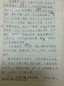 簡單而美好的陪伴作文開頭結(jié)尾