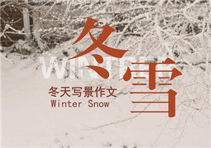 寫景作文冬天600字作文開頭