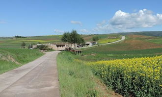 風景在路上唯美作文開頭