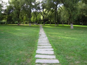 描寫長(zhǎng)春南湖開頭作文