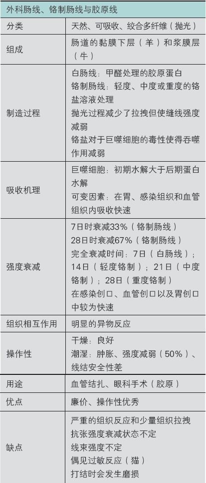 個人優(yōu)點(diǎn)和缺點(diǎn)總結(jié)(個人總結(jié)缺點(diǎn)和不足)